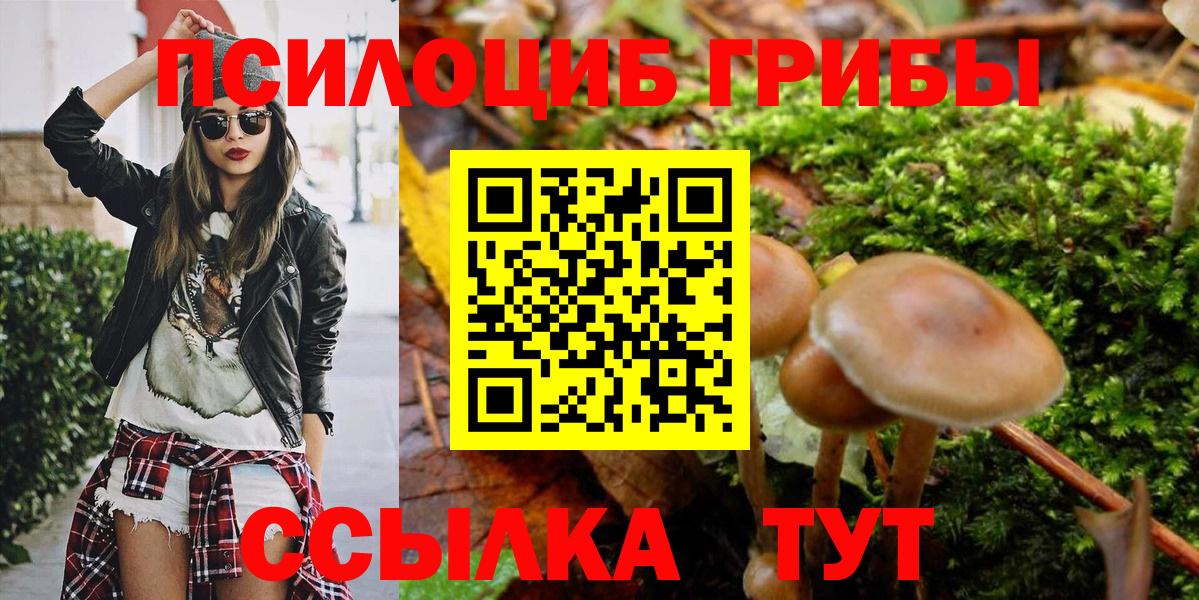 Кузнецк  Псилоцибиновые грибы MAGIC MUSHROOMS  Вход с VPN 