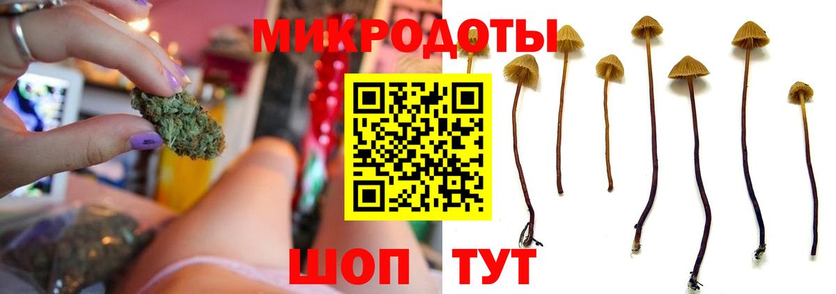 Псилоцибиновые грибы прущие грибы Кузнецк
